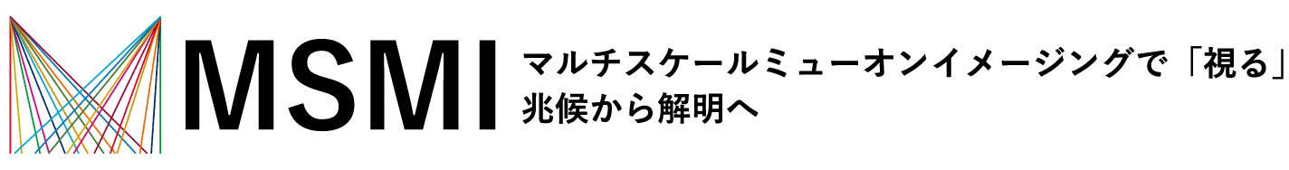 MSMI
